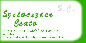 szilveszter csato business card